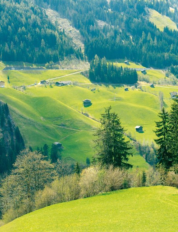 Schoesserhof Villa Zell am Ziller Exterior foto